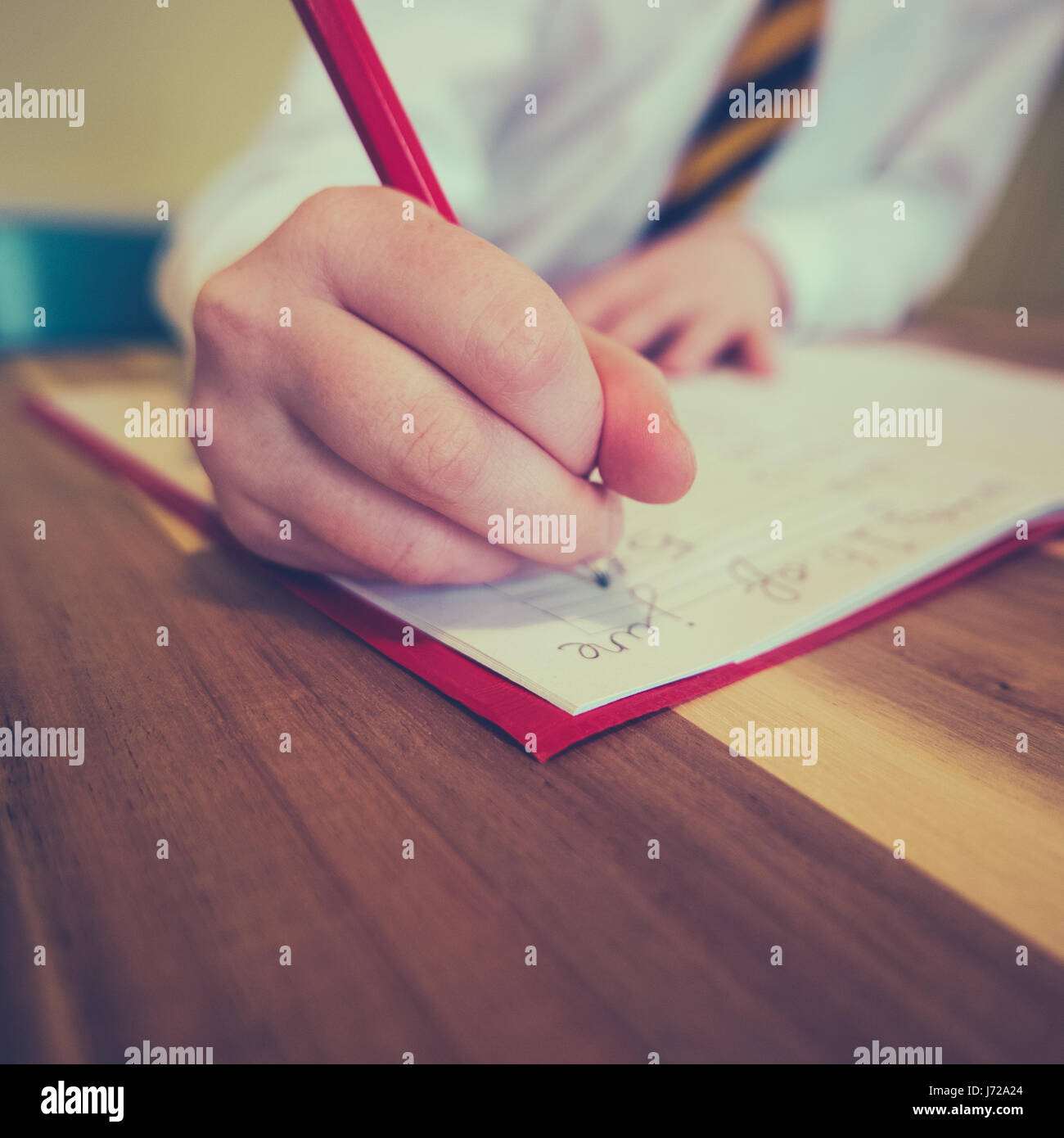 Schule Mädchen schreibt Hausaufgaben in einem Notebook Stockfoto