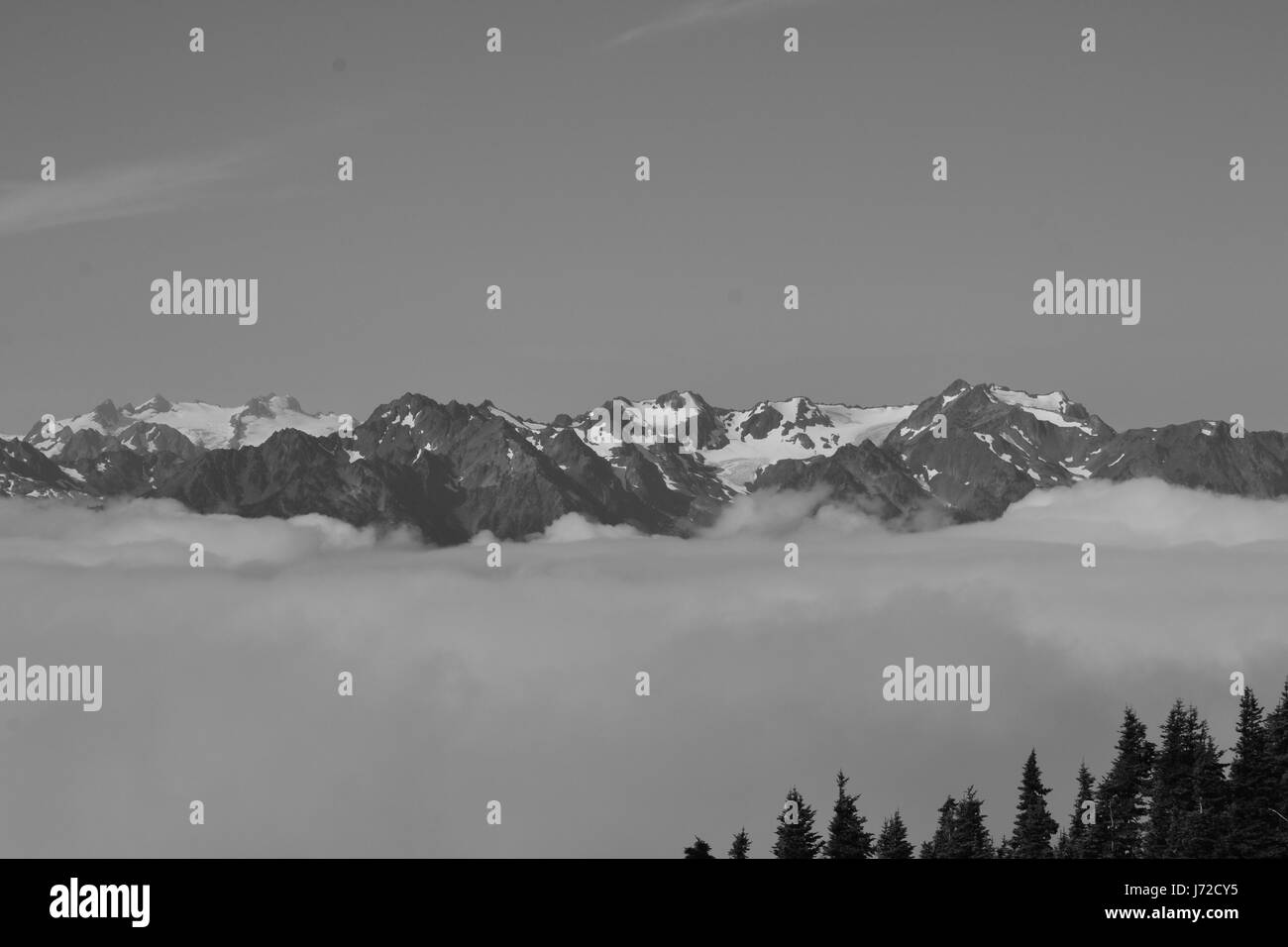 Olympic Mountains auf Wolken schweben Stockfoto