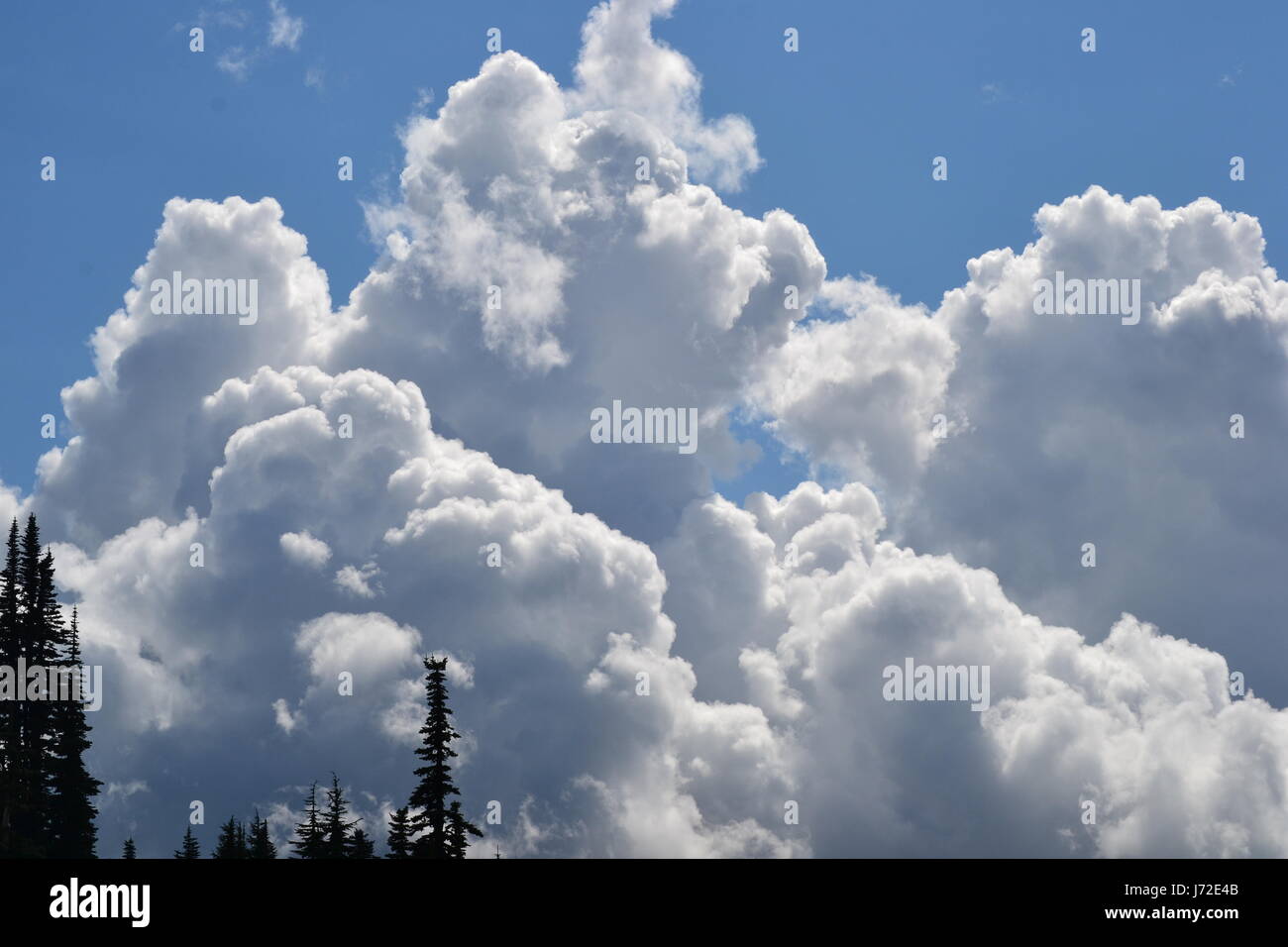 Gebäude-Wolken Stockfoto