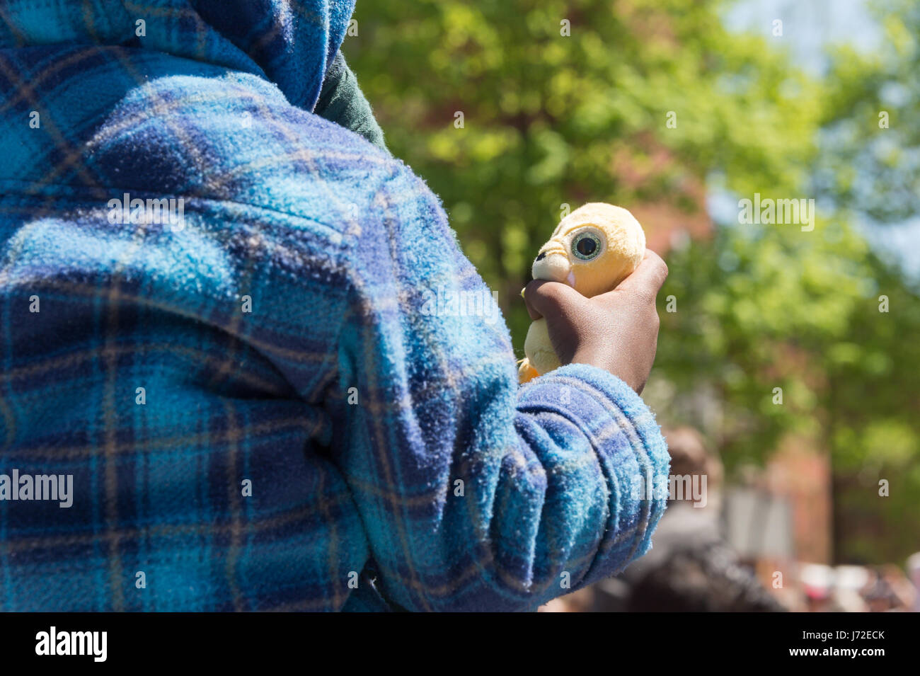 Rückansicht eines Kindes hält ein Plüschtier Stockfoto