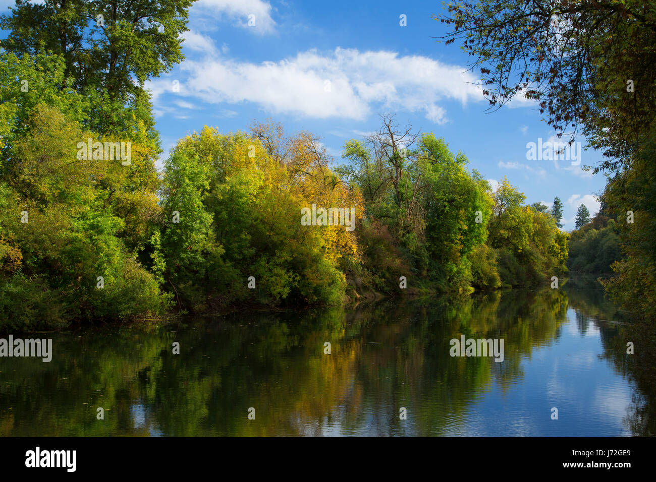 Yamhill River, Dayton Landung County Park, Dayton, Oregon Stockfoto
