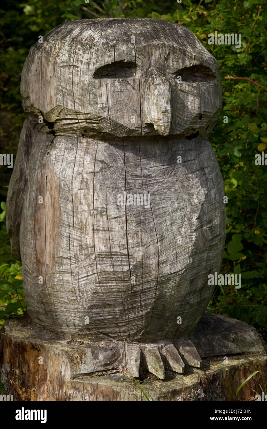 Baum Statue Haken Eule carving schnitzen Kunst Holz Augen Dänemark Zweig Nase Pol Stockfoto