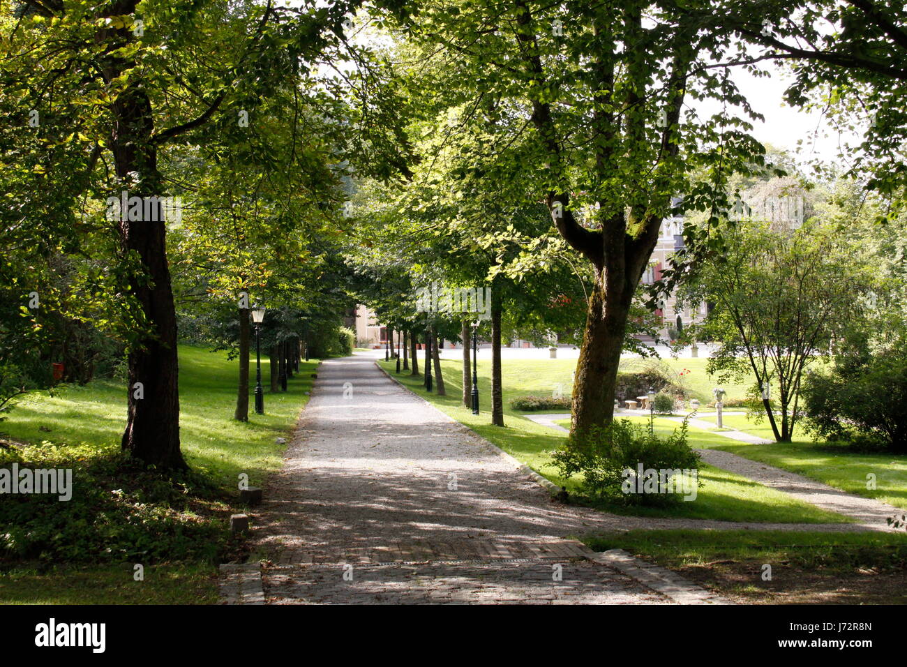 Bayerns öffentlichen Garten Parkway Deutschland Bundesrepublik Deutschland Baum Bäume park Stockfoto