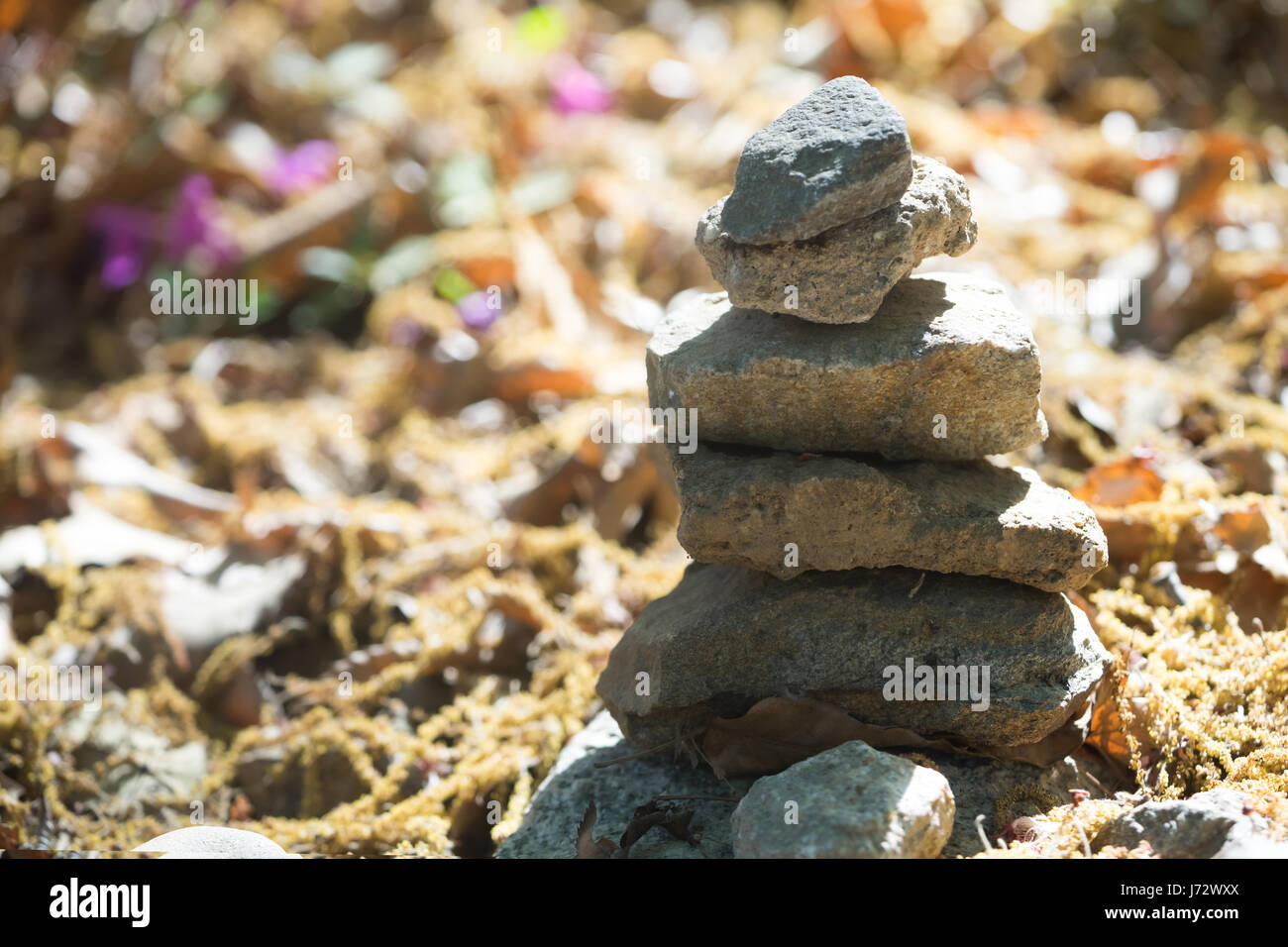 Nahaufnahme von Zen Stone Stockfoto