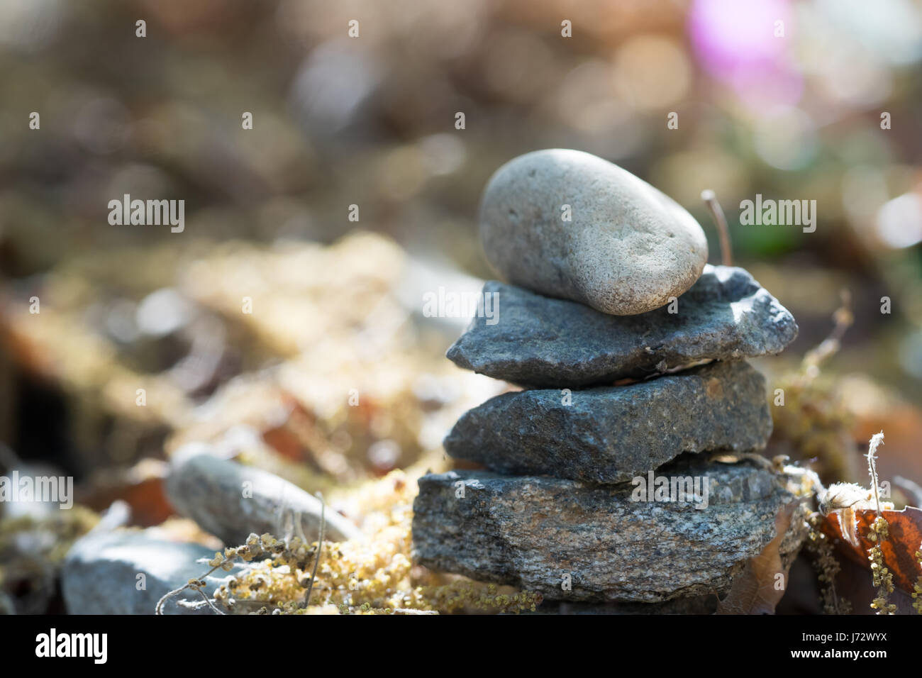 Nahaufnahme von Zen Stone Stockfoto