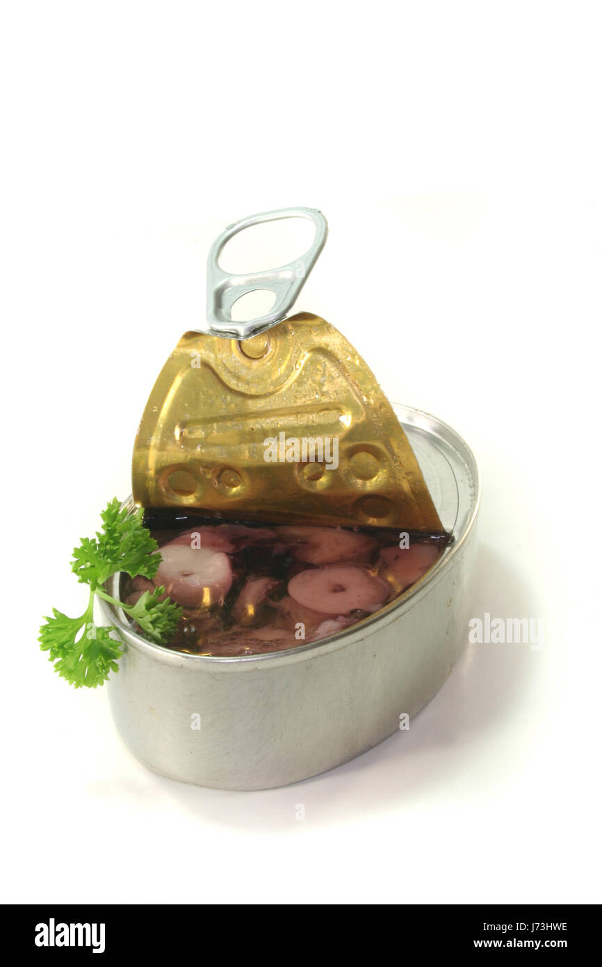 Zinn Gourmet Meeresfrüchte Krake Tintenfisch zu sparen dösen Kanister Restaurant Kultur Stockfoto