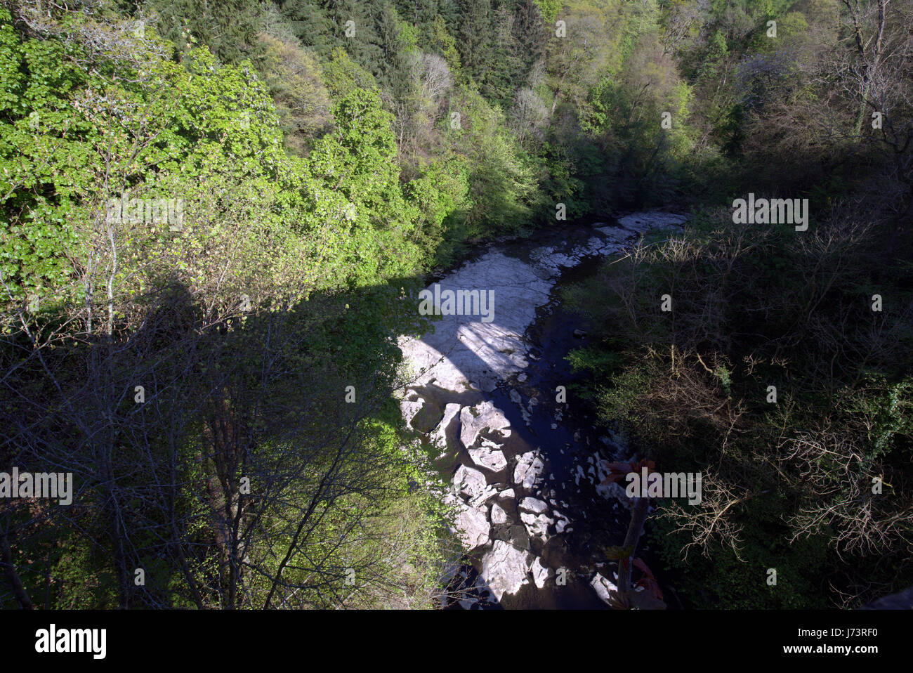 Chatelherault Country Park Fluss Avon-Schlucht mit dem Flussbett Kalkstein zeigt wegen Trockenheit Stockfoto