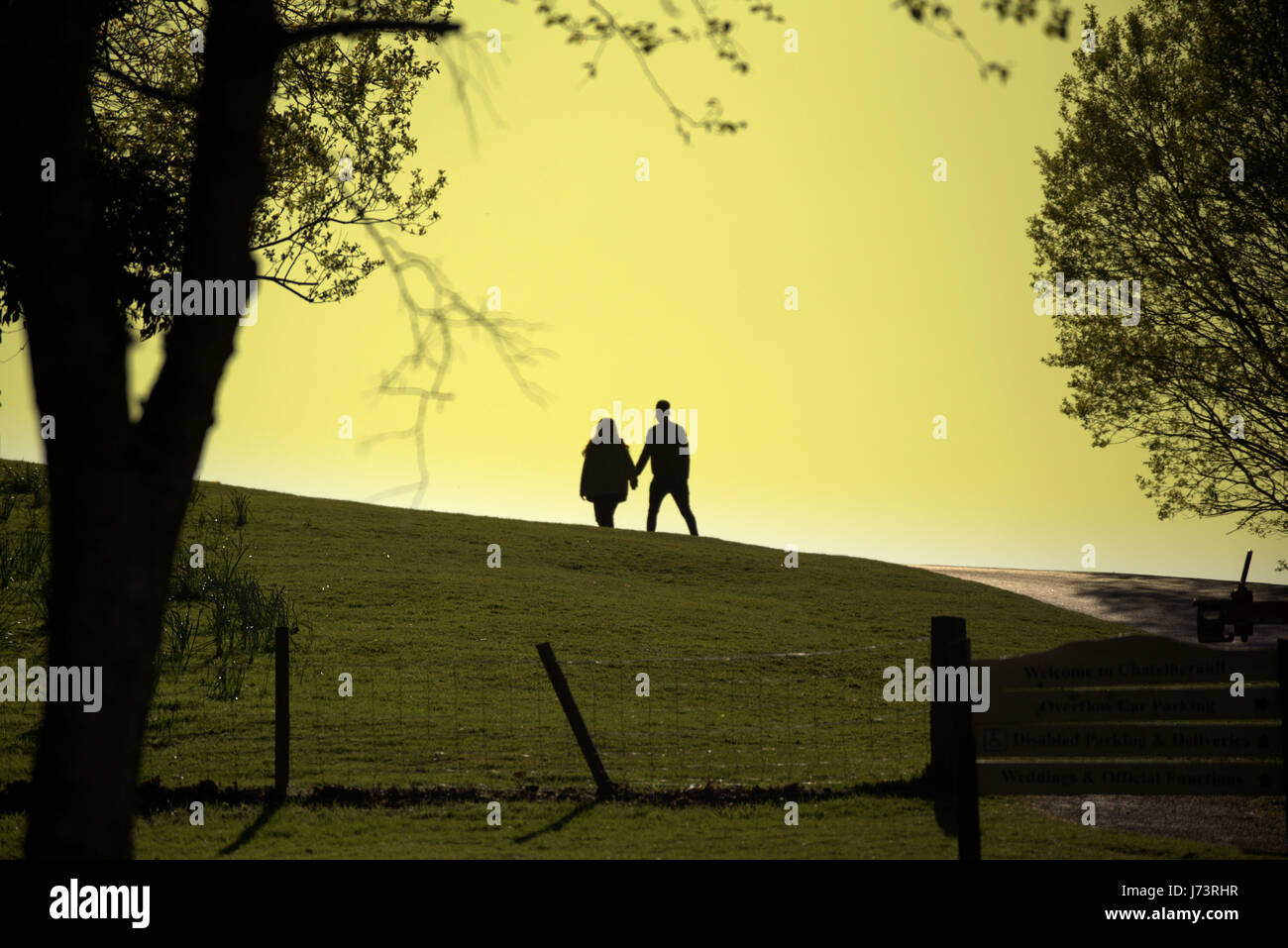 junges Paar Hand in Hand gehen Sie in den Sonnenuntergang Chatelherault Country Park Stockfoto