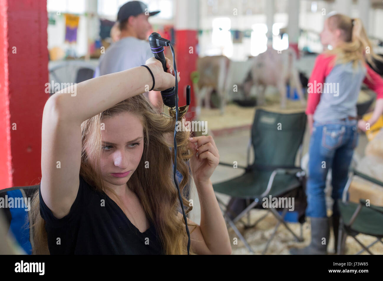 Phoenix, Arizona - eine junge Frau locken ihr Haar in den Viehstall im Maricopa County Fair vor einem Vieh Beurteilung Wettbewerb. Stockfoto