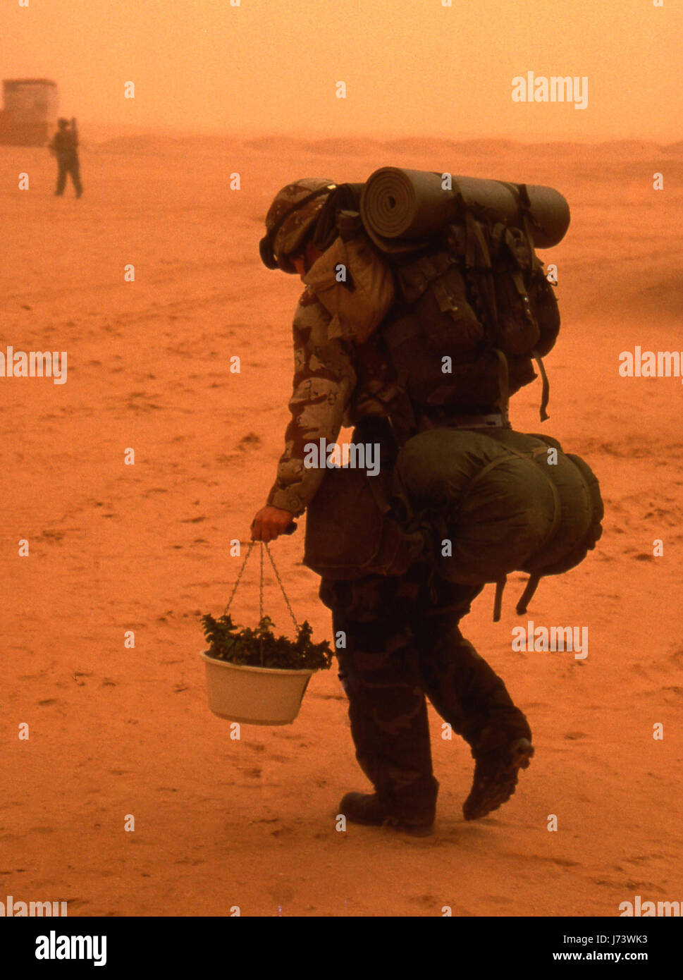 Combat Support Hospital Armee Krankenschwester an einen neuen Speicherort verschieben, während ein Sandsturm mit einer Pflanze, die sie seit Bereitstellung während des Betriebes gesorgt hat Stockfoto