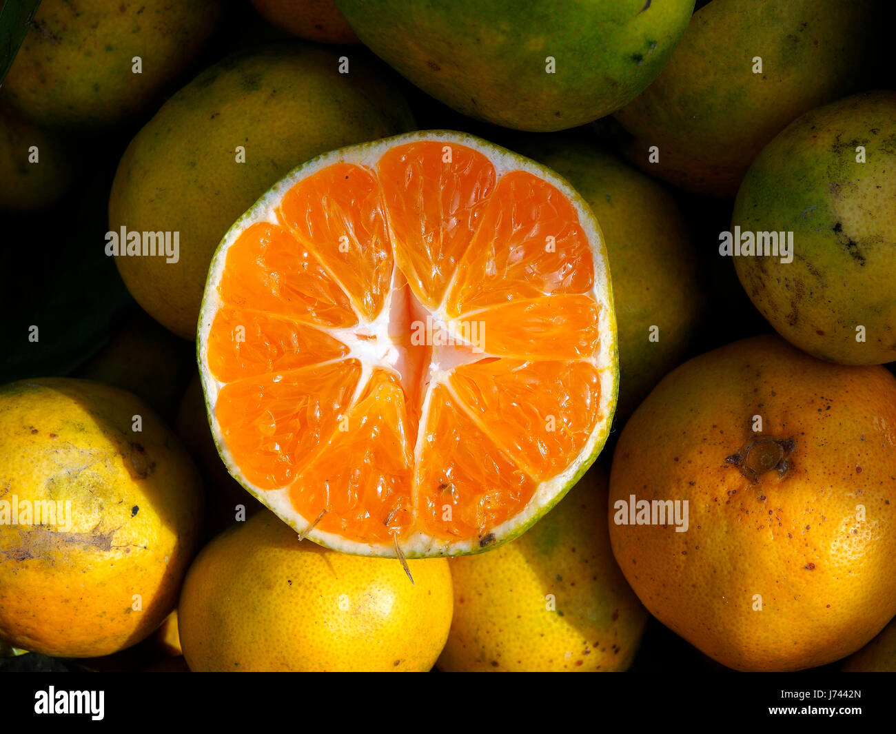 Obst. Schneiden Sie Mandarine auf einem Ständer. Stockfoto