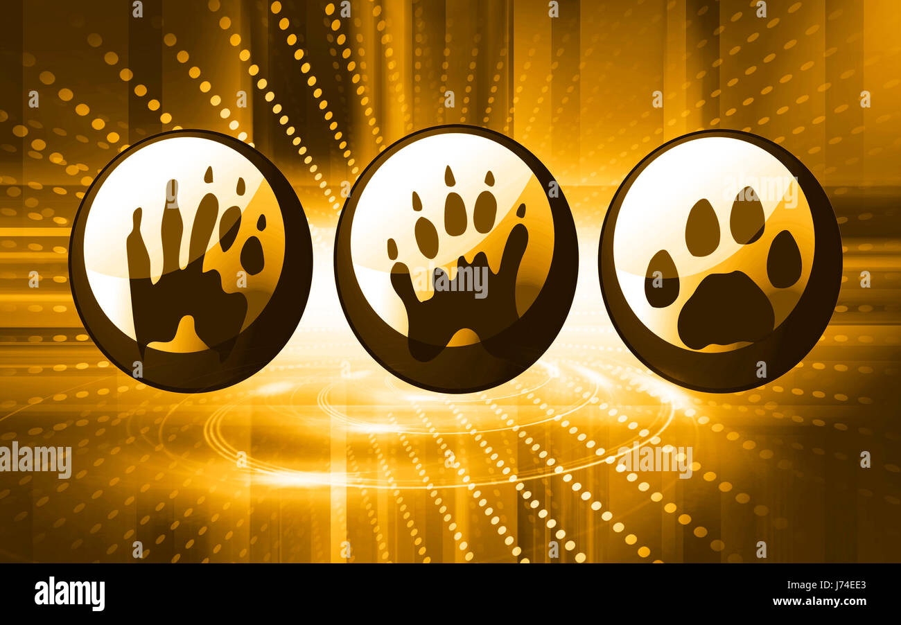 Emblem-Symbol-Tasten Schlüssel Piktogramm Symbol Piktogramm Handel Symbol Abbildung Stockfoto