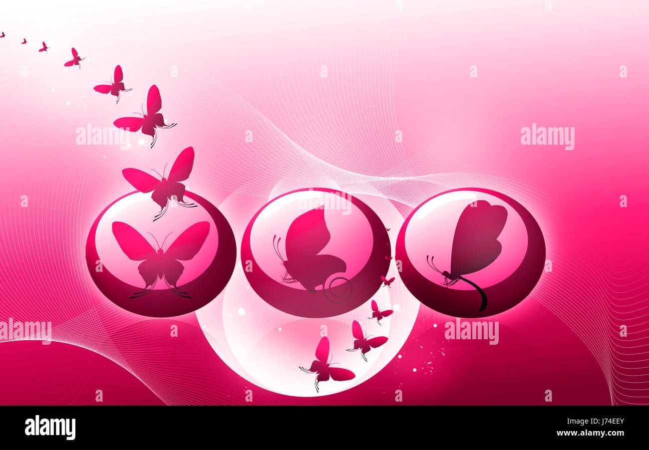 Emblem Schmetterling Symbol-Tasten Schlüssel Piktogramm Symbol Piktogramm Handel symbol Stockfoto