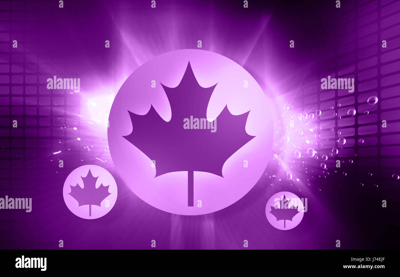 Runde Emblem Symbol-Tasten Schlüssel Piktogramm Symbol Piktogramm Handel Symbol Blatt Stockfoto