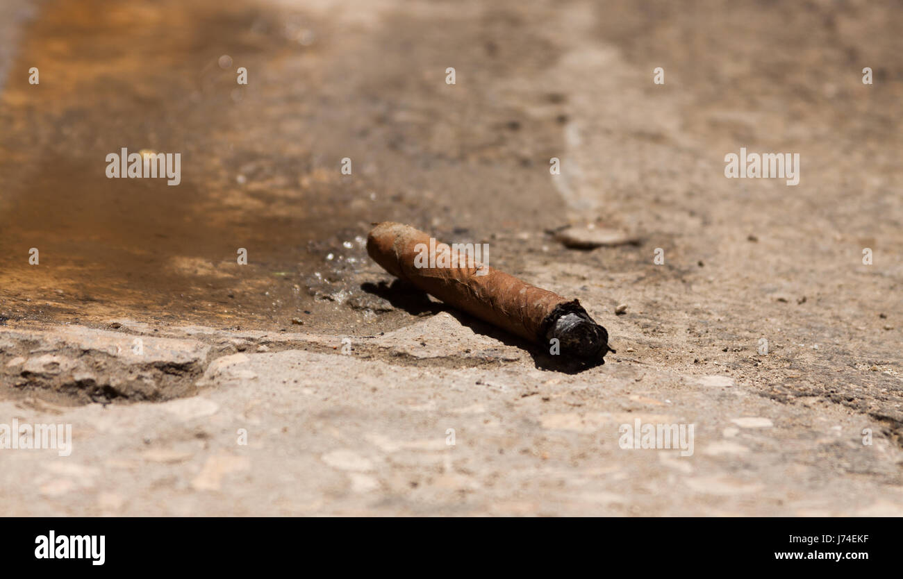 Zigarre auf der Straße Havanna, Kuba Stockfoto