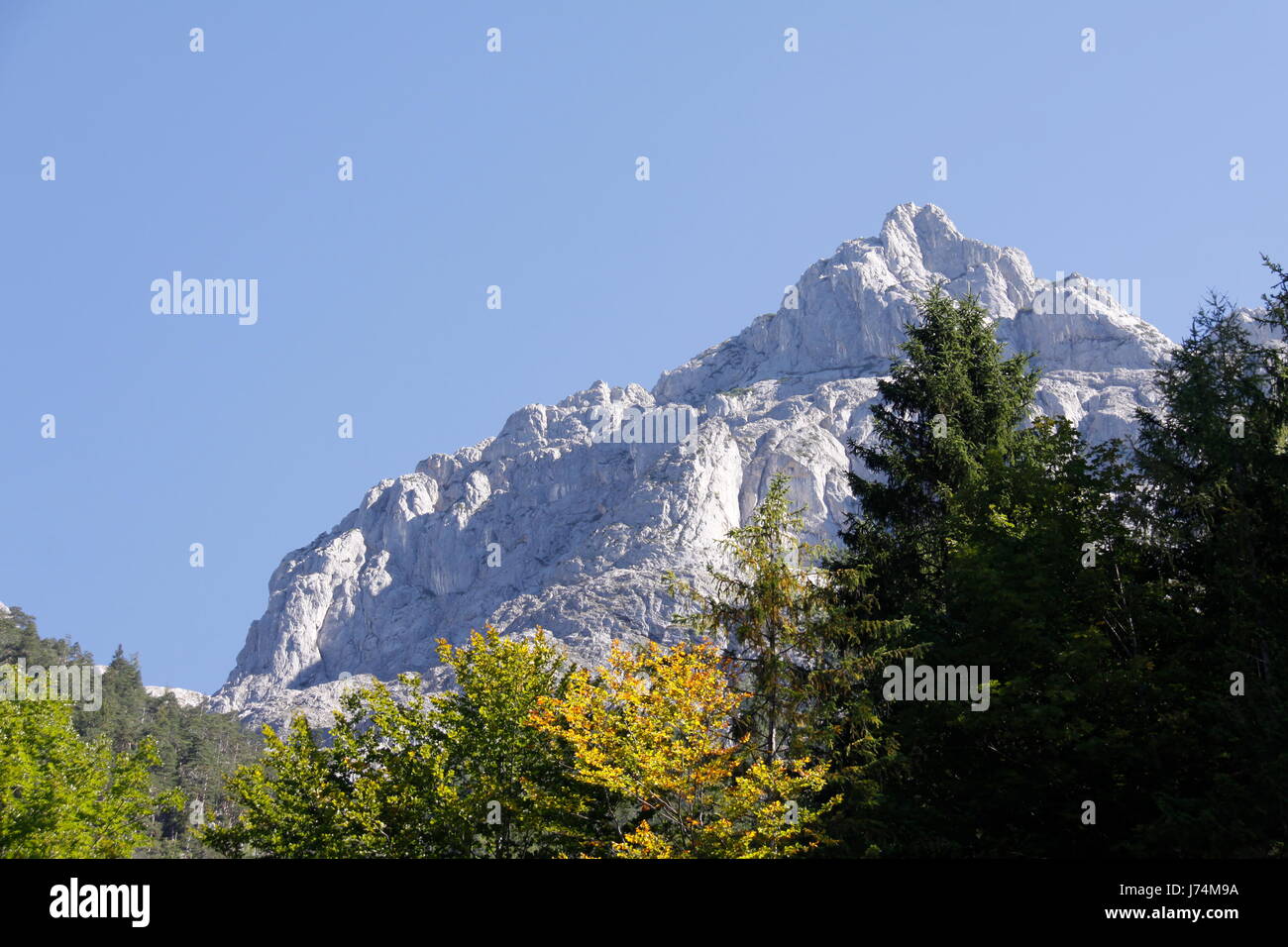 blauen Berge Gipfel Tannen Höhepunkt Höhepunkt Firmament Himmel Gebirge blauen Baum Stockfoto