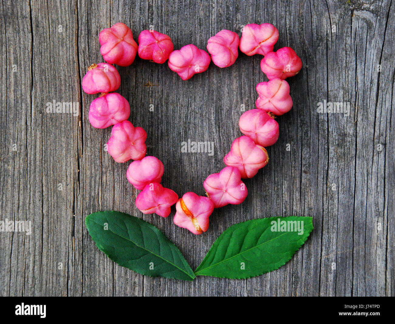 Zuneigung Eid Treue Liebe verliebt verliebte sich in Liebe Herz Piktogramm symbol Stockfoto