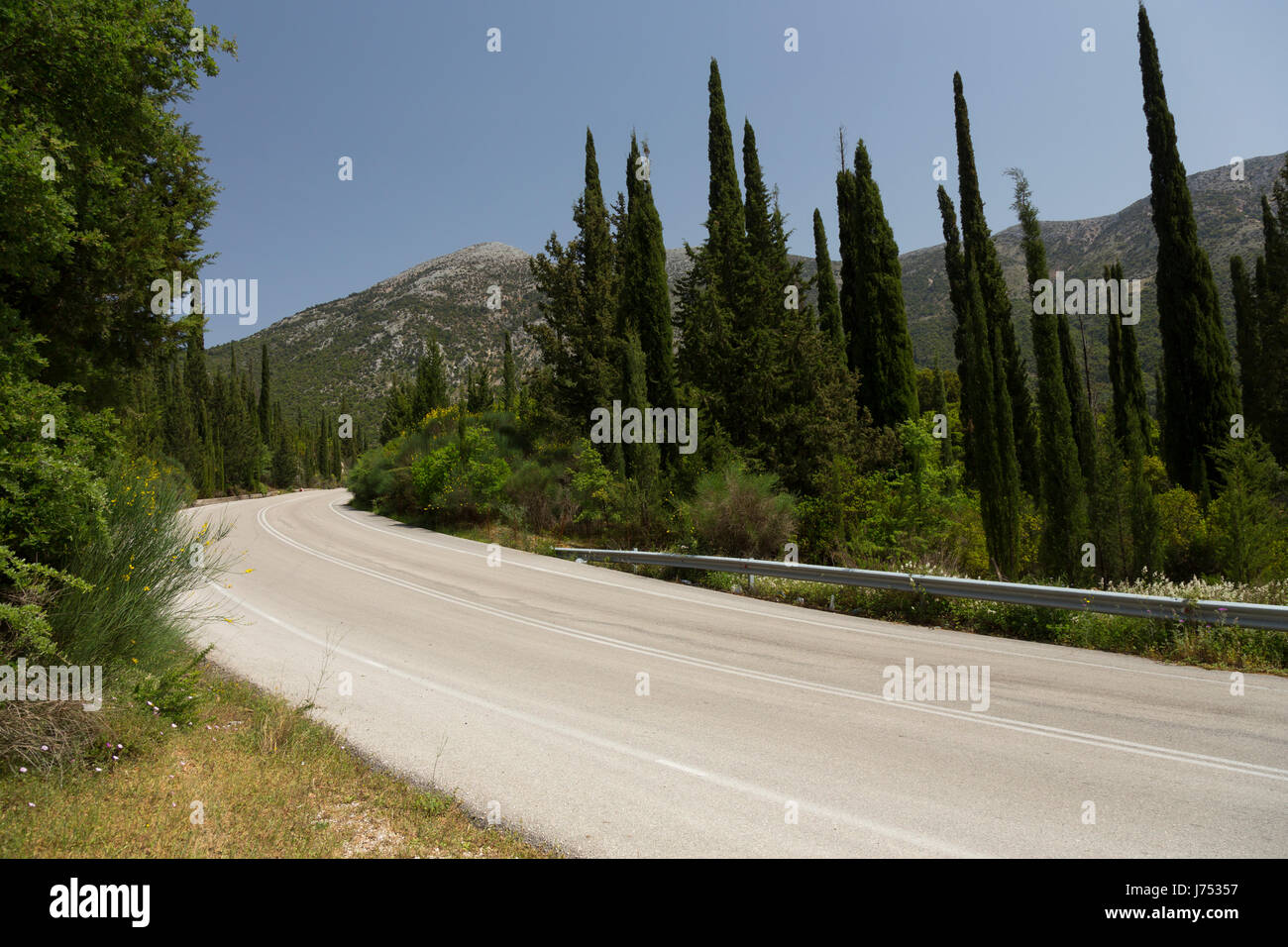 Zypressen gesäumt Sami zu Tzanata Straße, Kefalonia, Griechenland Stockfoto