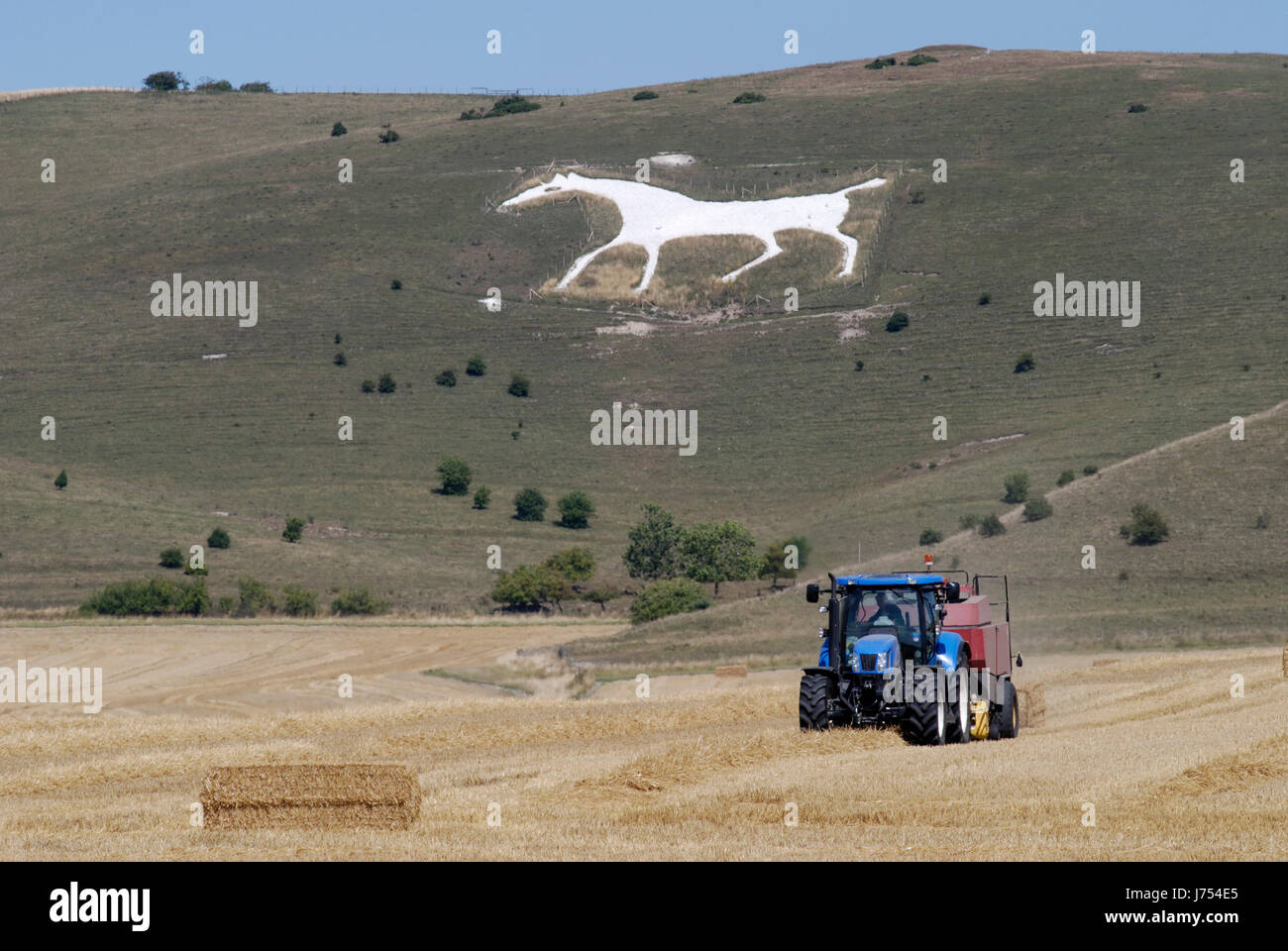 Pferd zu ernten England Traktor Kreide weiße Hügel Landwirtschaft Landwirtschaft Feld Dunst Stockfoto