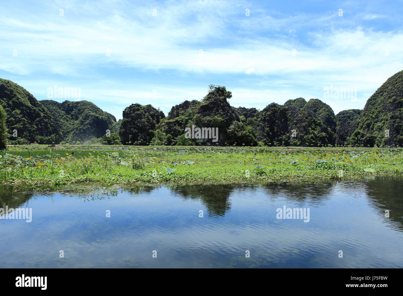 Entspannung-Baum bibs Asia Viet Nam Vietnam Berg Fluss Wasser trinken trinken Stockfoto