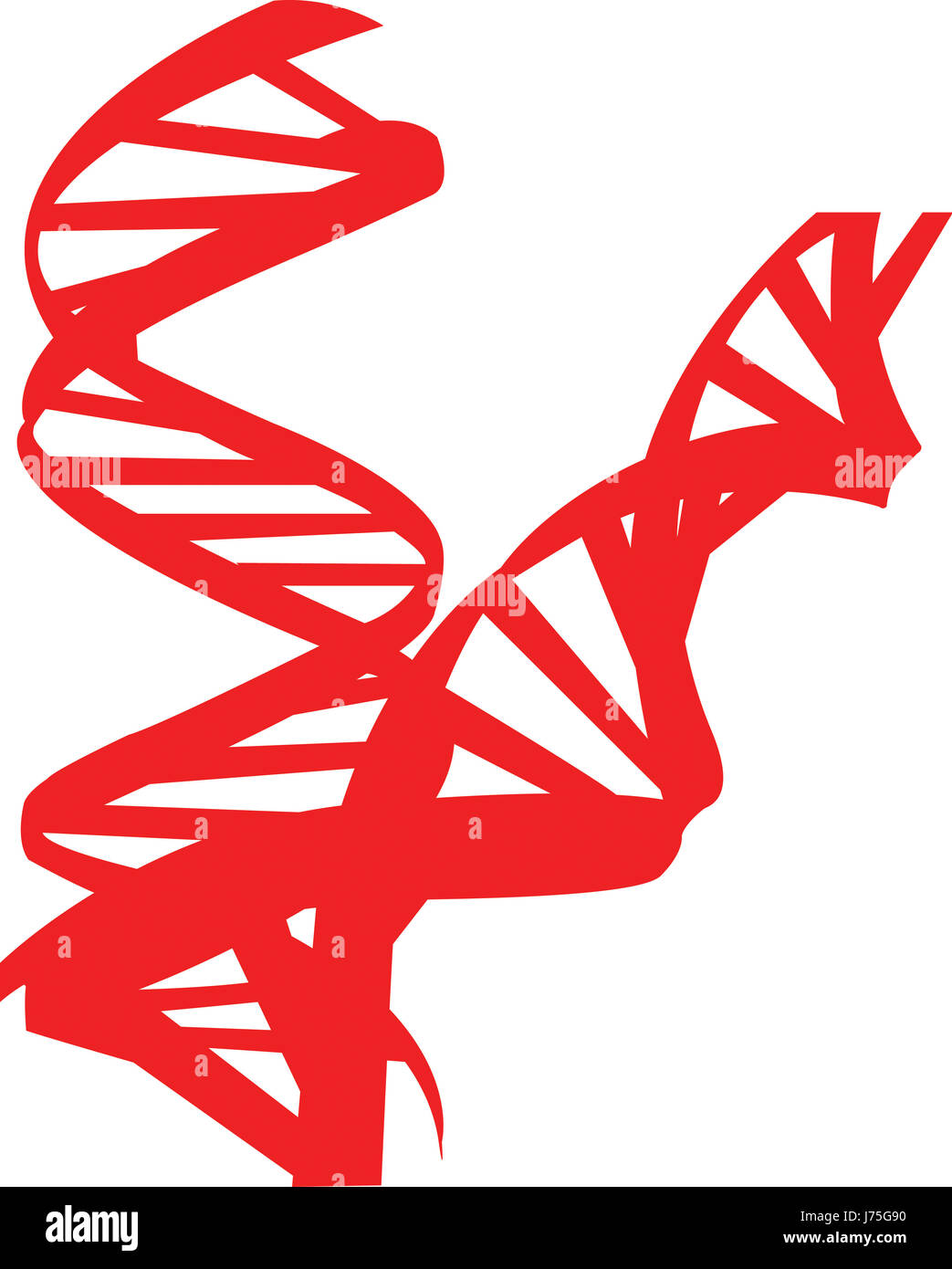 Abbildung Zelle Biologie rot Gesundheit Leben existieren Existenz leben Leben leben Stockfoto