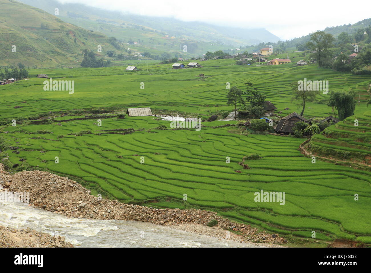 Asien-Tal Viet Nam Vietnam Reisfeld Gemeinschaft Dorf Marktstadt Reis Stockfoto