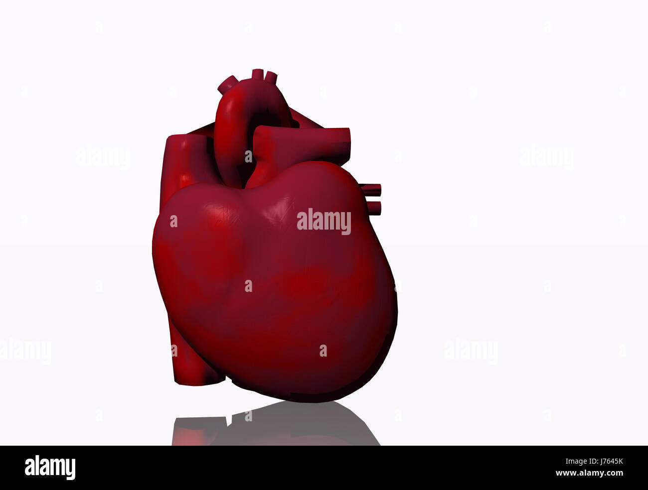 Abbildung Herz Anatomie Gesundheit Leben existieren Existenz leben Leben leben Stockfoto