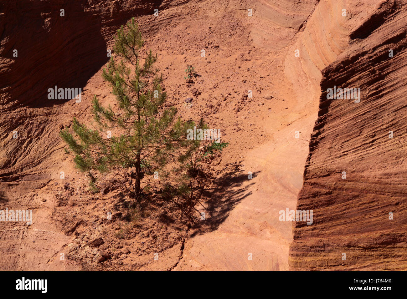 Wüste Ödland Frankreich Steinbruch Ocker Provence spärlich stinted Baum Europa Rock Stockfoto