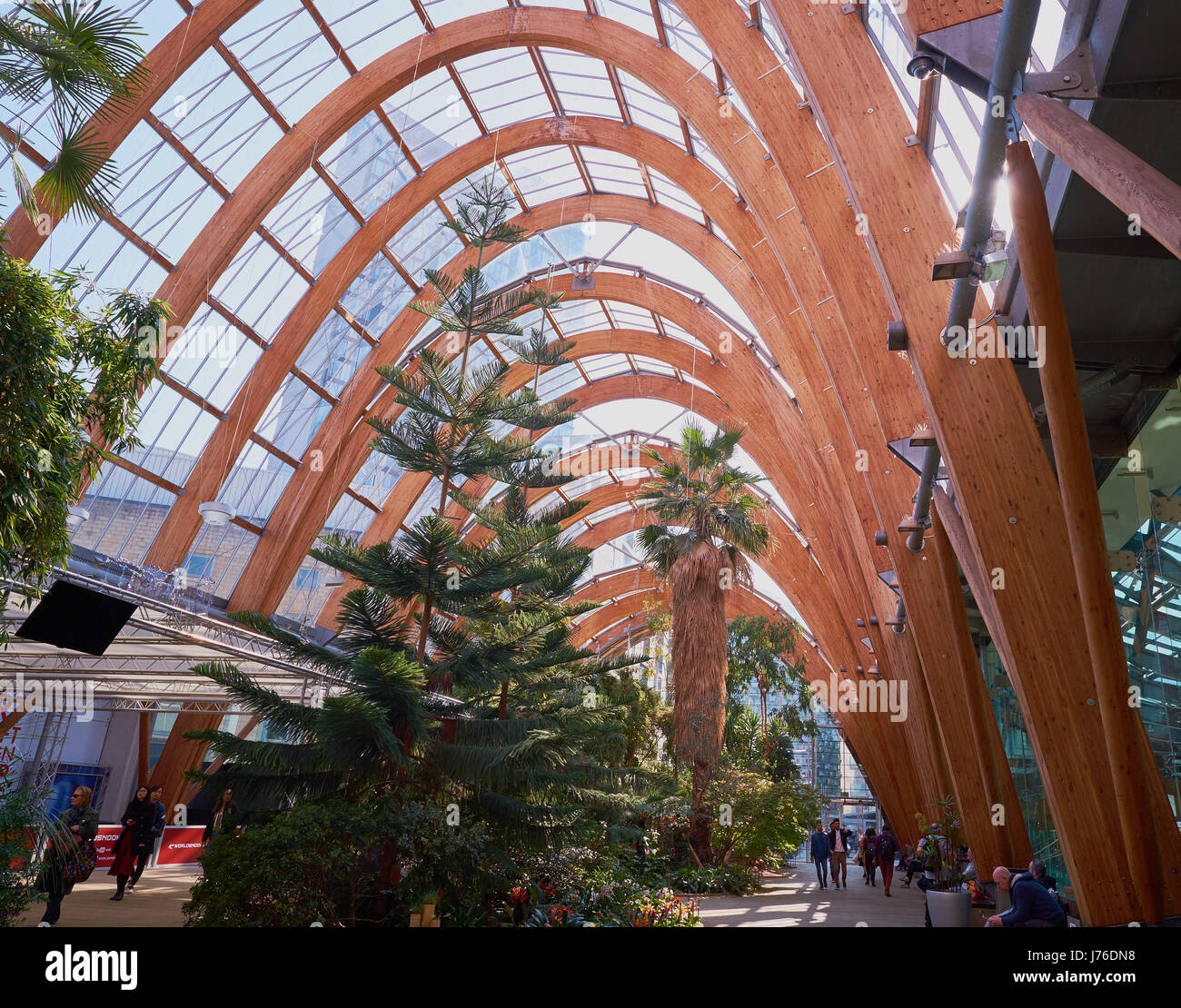 Wintergarten, Sheffield, South Yorkshire, England Stockfoto