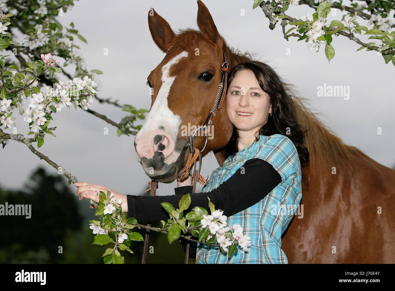 Frau kuschelt mit Pferd Stockfoto