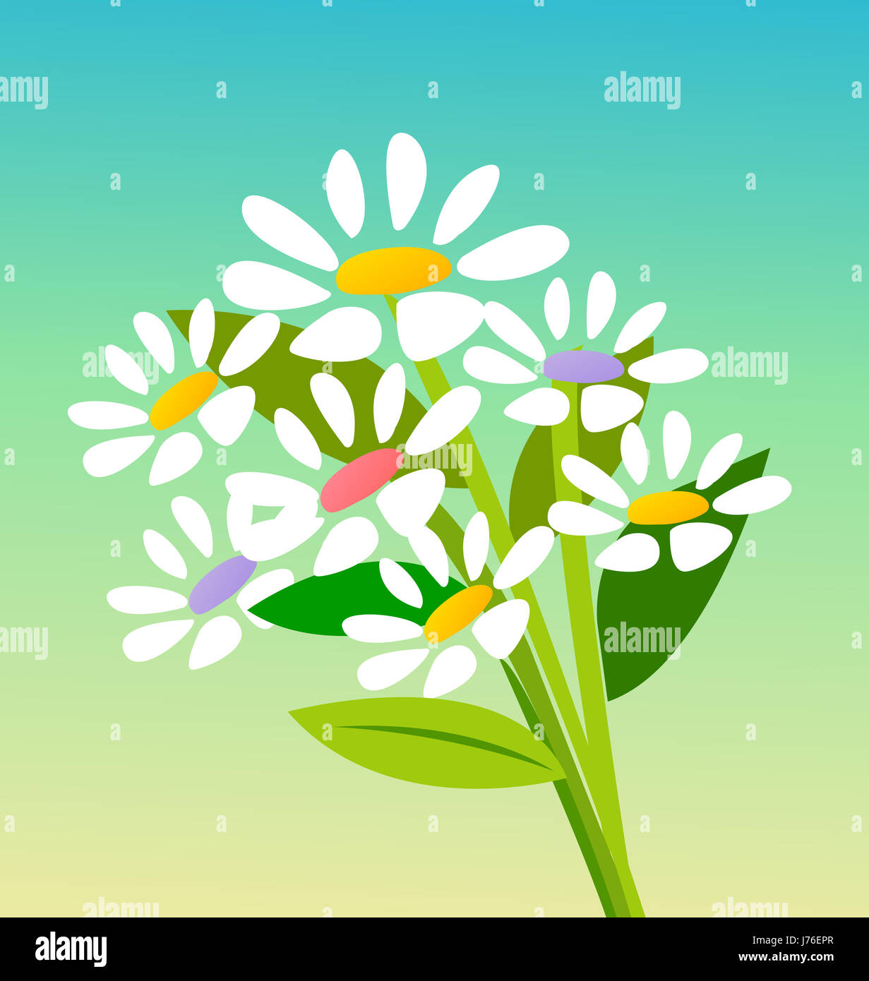 Blume Pflanze Gänseblümchen nahe Blatt isoliert einfarbig Modell Design-Projekt Stockfoto