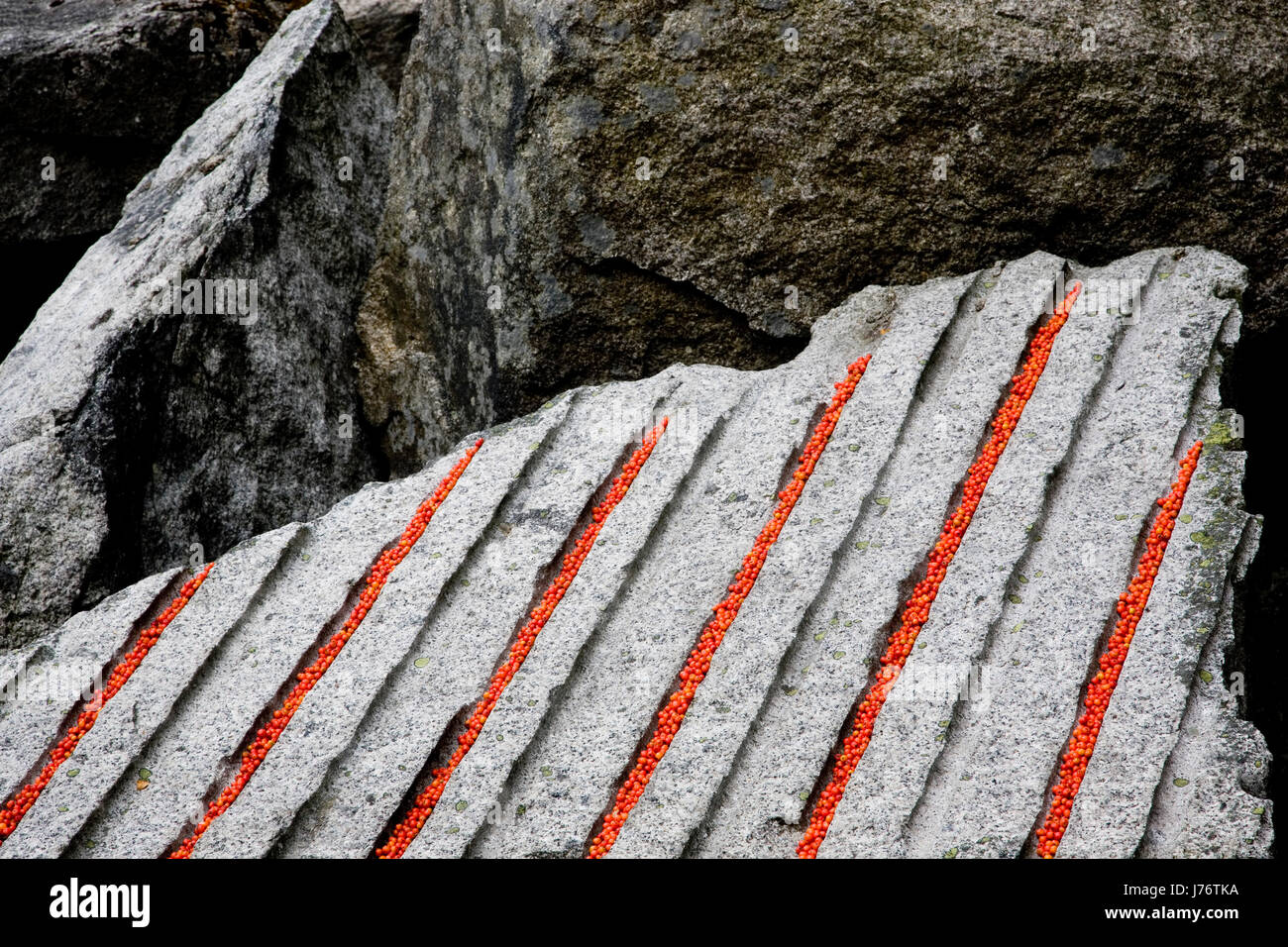 Landart Vogelbeeren und Granit Stockfoto
