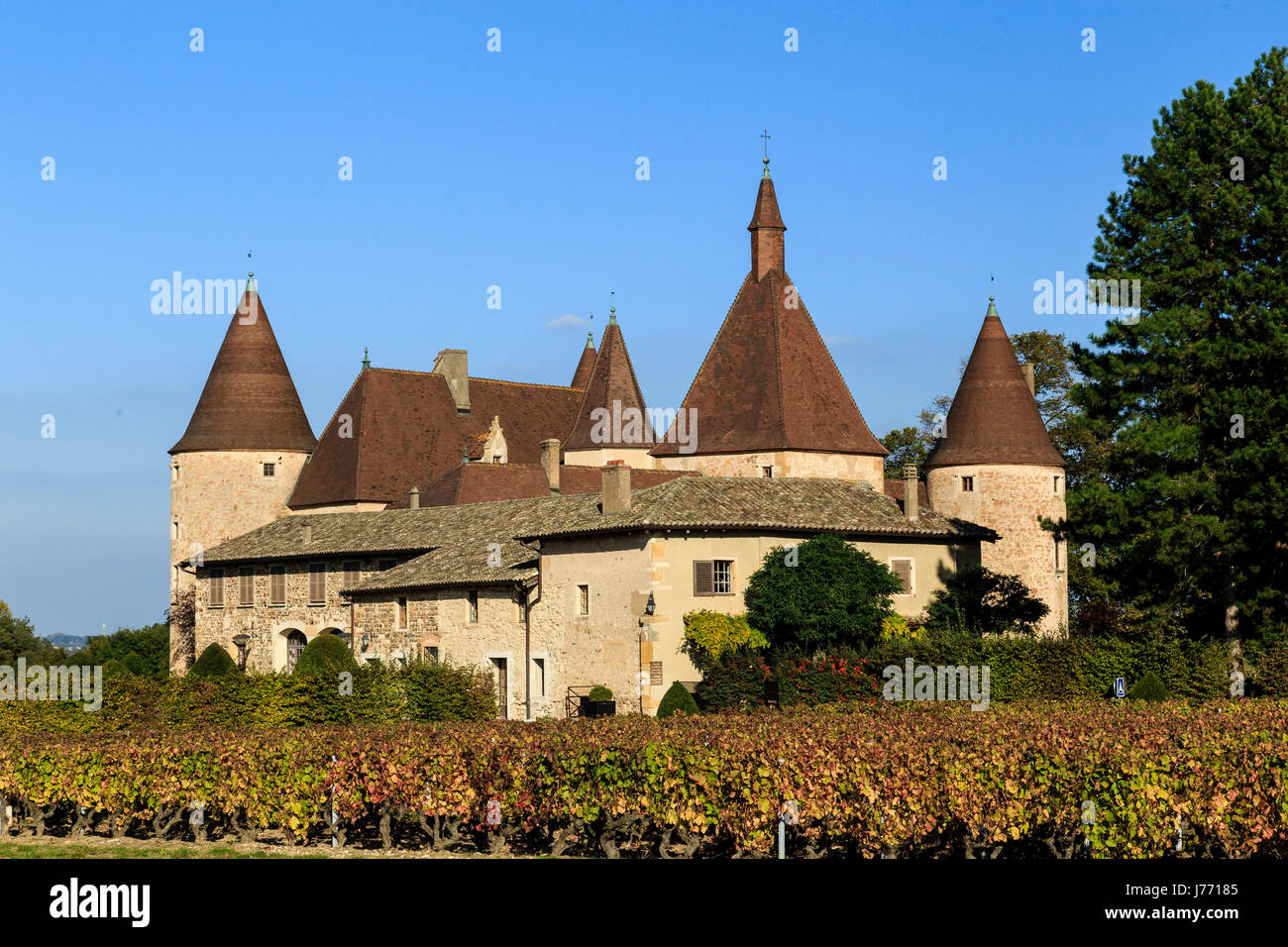 Frankreich, Rhone, Beaujolais Region, Corcelles en Beaujolais, Corcelles Schloss und es ist die Weinberge im Herbst Stockfoto