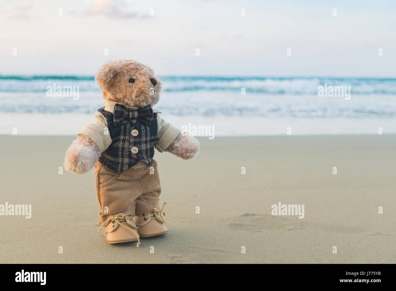 Teddybär stehend am Strand Stockfoto