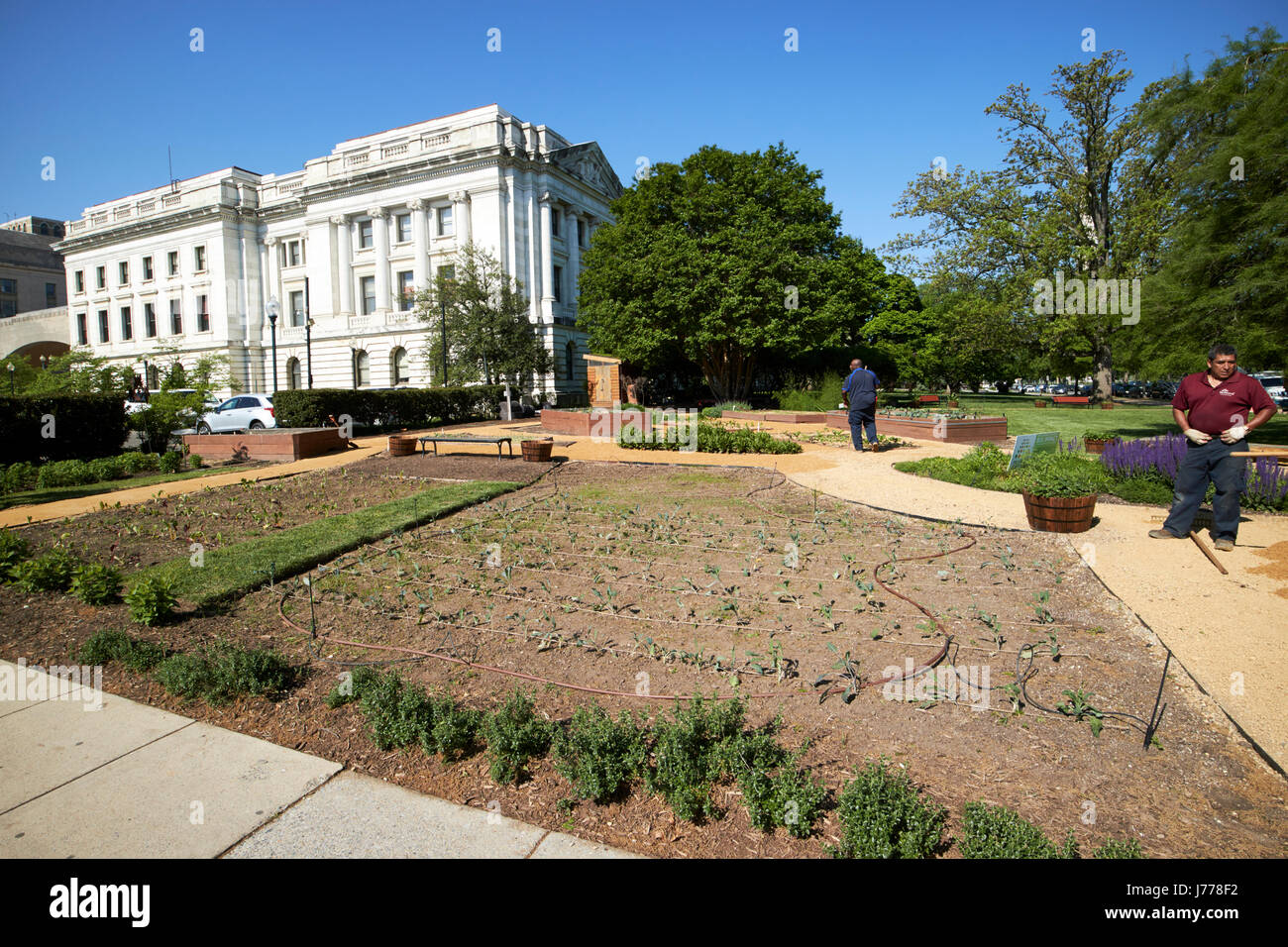 Pflanzung und neue Gemüse in den USDA Hauptsitz Völker Garten Bewässerung zertifiziert Bio Washington DC USA Stockfoto