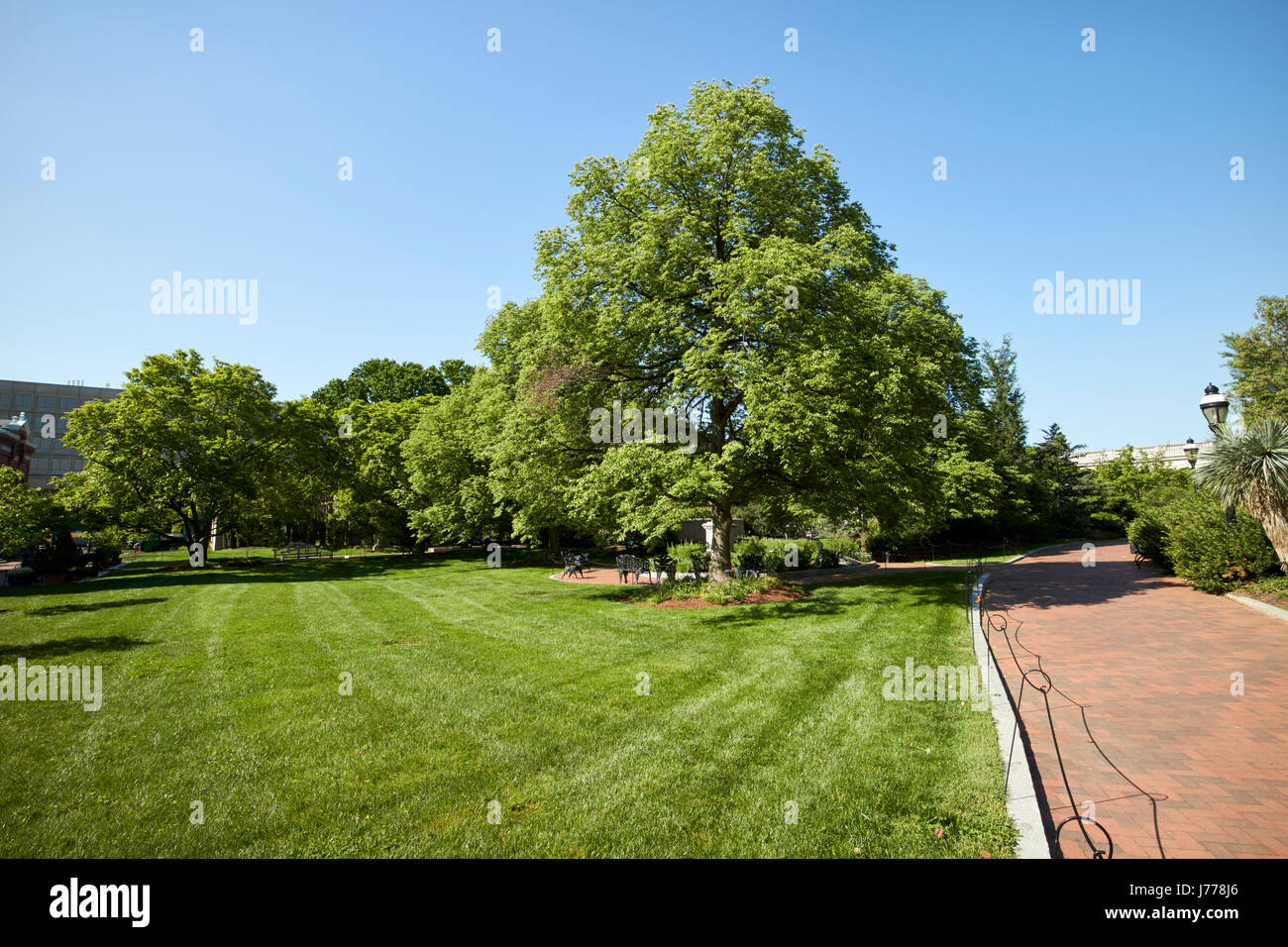 Enid Haupt Garten Washington DC USA Stockfoto