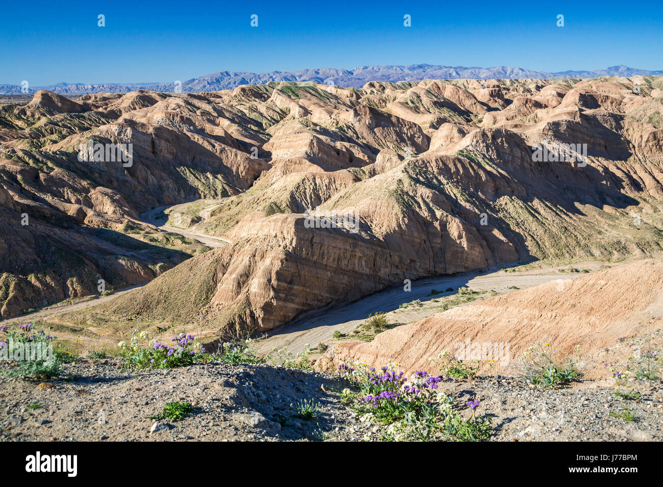 Die Wüste Ödland der Anza Borrego Desert State Park, in der Nähe von Borrego Springs, Kalifornien, USA. Stockfoto