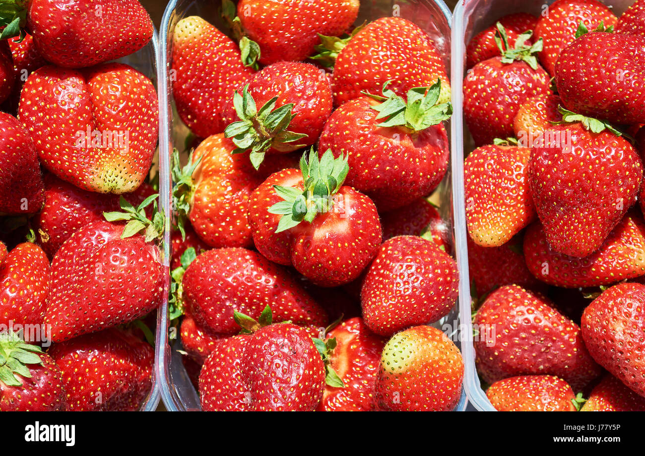 Hintergrund aus erntefrischen Erdbeeren direkt über Stockfoto