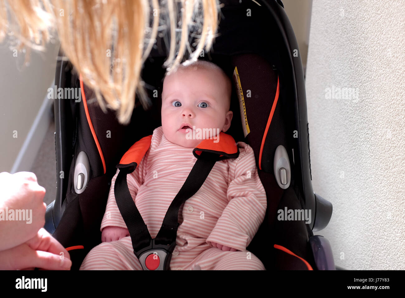 Babymädchen nachschlagen in einem Cabrio Sitz geschnallt Stockfoto