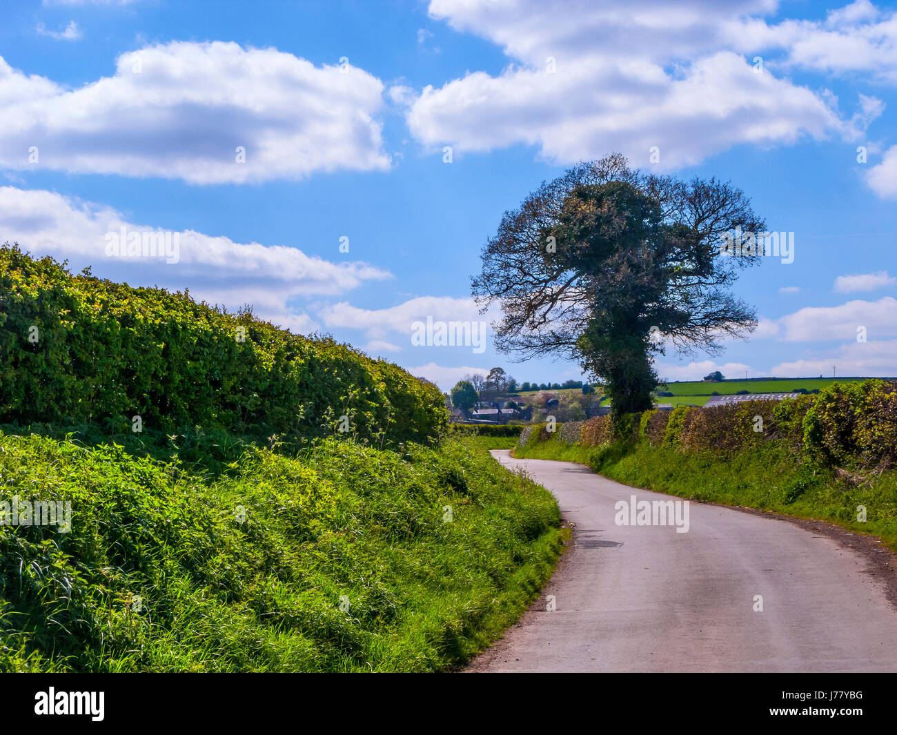 Feldweg, Derbyshire Stockfoto