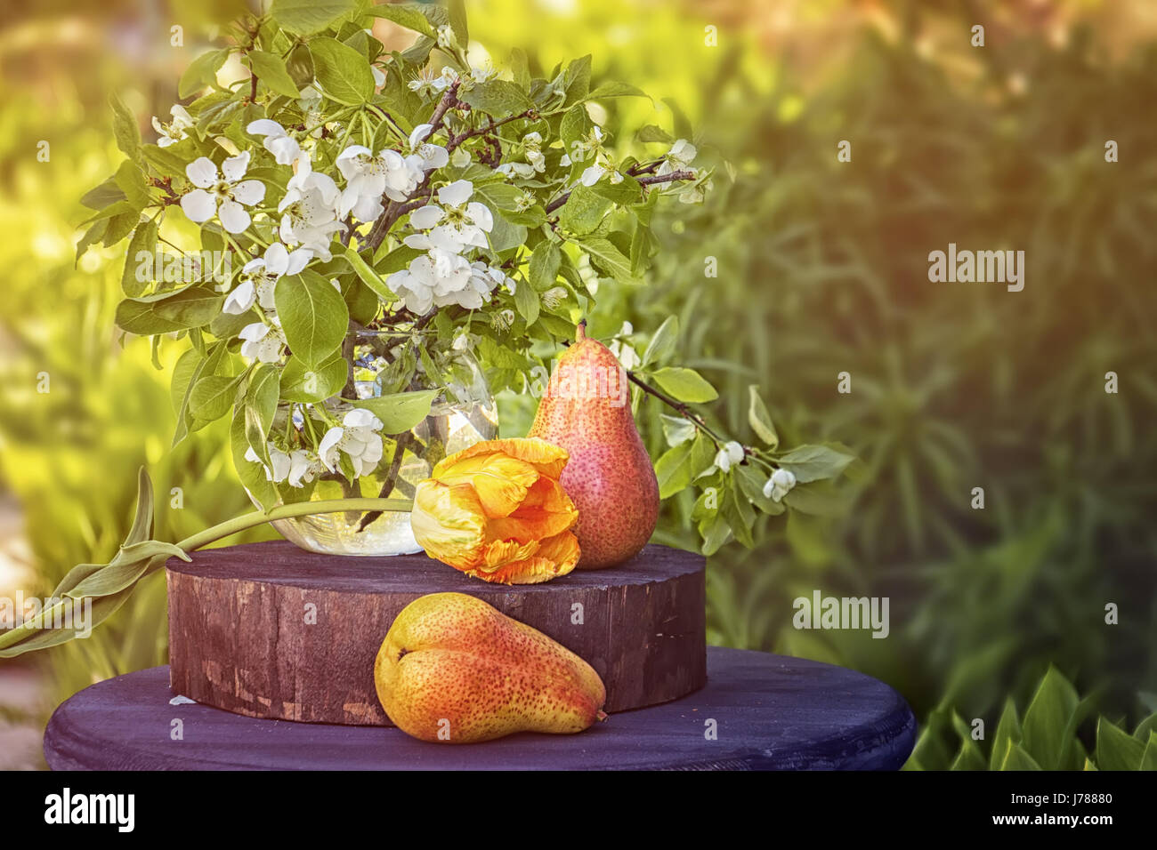 Birne-Stillleben mit Blumen Kunst auf grünem Hintergrund im Garten an einem sonnigen Tag, getönt, horizontalen Rahmen kopieren Raum. Stockfoto