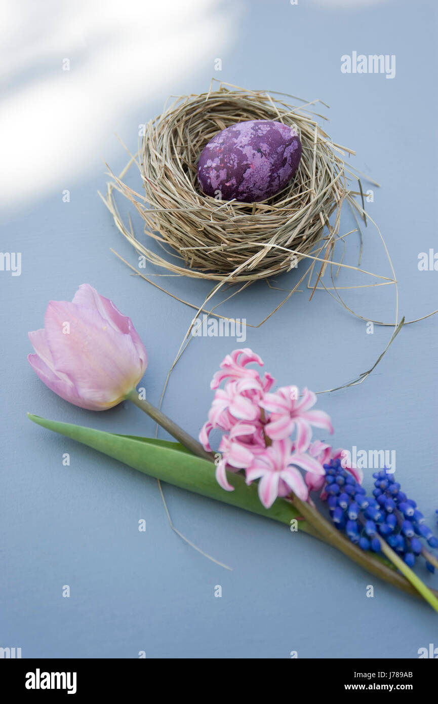Oster-Deko mit Nest, Ei und Frühling Blumen Stockfoto