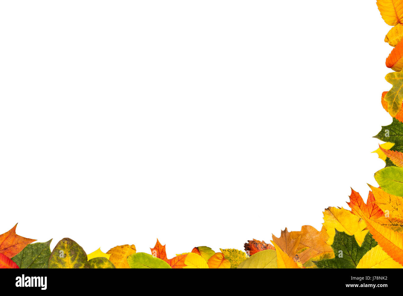 Hintergrund für Text mit vielen Herbstlaub als Halbformat Stockfoto