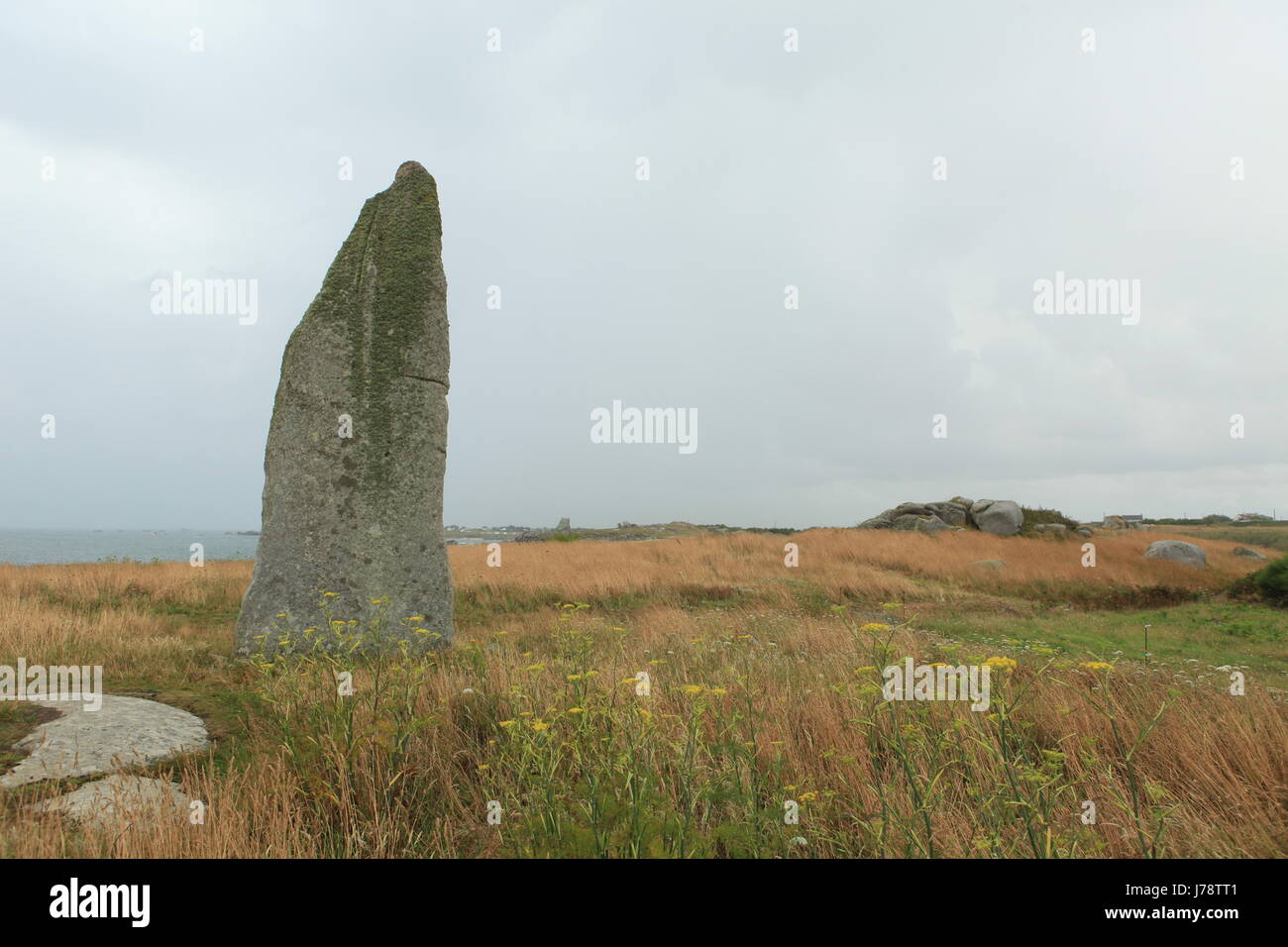 ein Menhir in der Bretagne Stockfoto