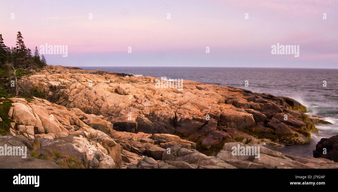 Ein rosa Sonnenuntergang von schroffen Felsenküste in Arcadia Nationalpark, Maine Stockfoto