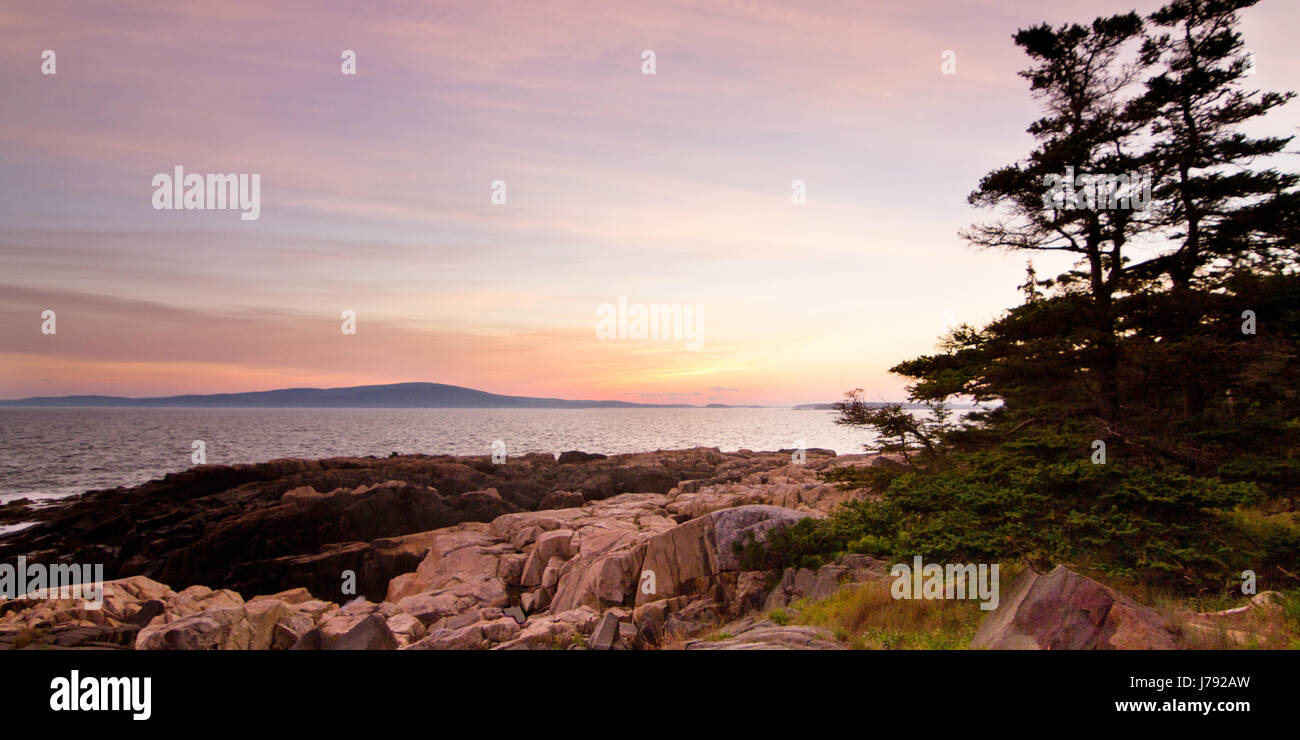 Ein rosa Sonnenuntergang von schroffen Felsenküste in Arcadia Nationalpark, Maine Stockfoto