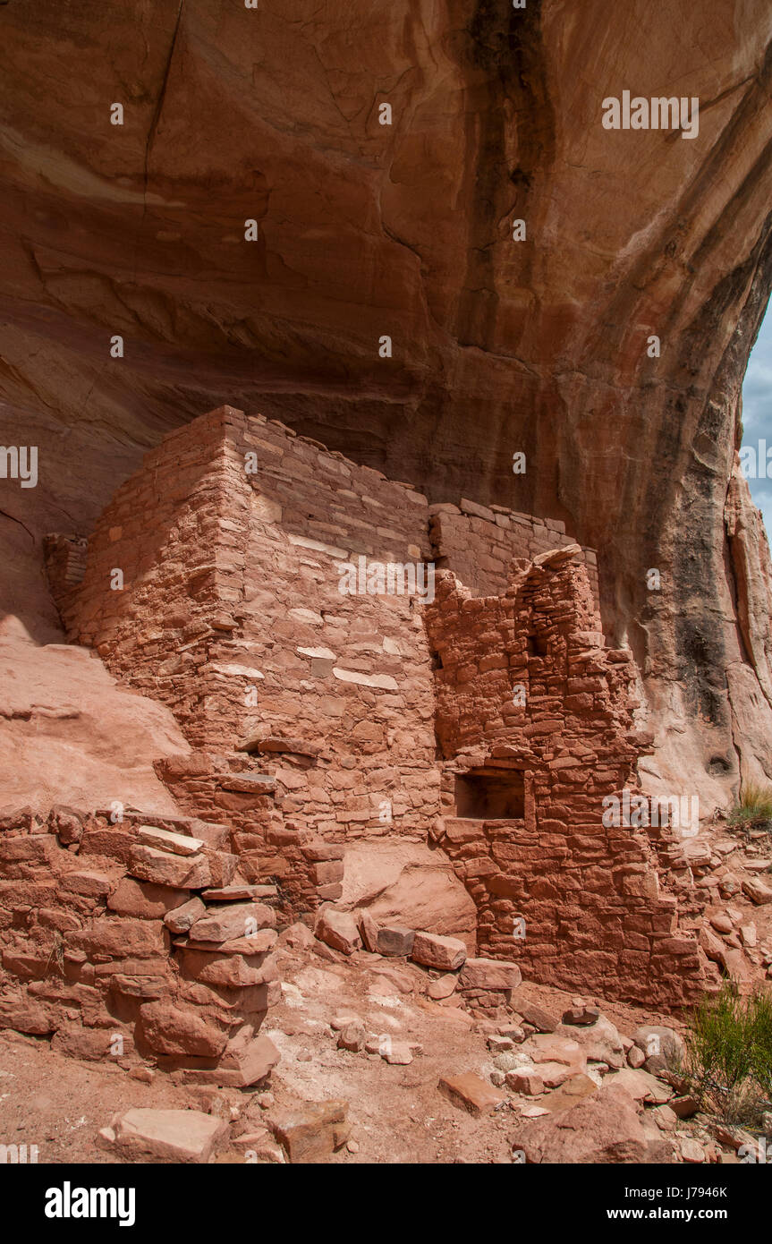 Sonnigen Alkoven, Anasazi-Ruinen, Sand Canyon Trail, Schluchten des alten National Monument nordwestlich von Cortez, Colorado. Stockfoto