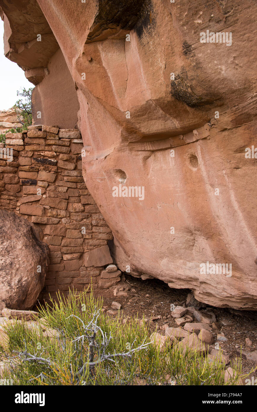 Vertiefungen in der Wand, bemalte Hand Pueblo, Schluchten des alten National Monument, Colorado. Stockfoto