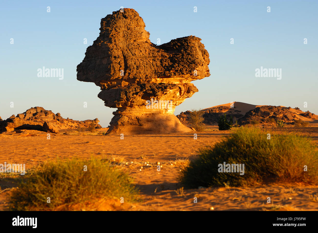 Rock-Pilz in Acacus Bergen, Libyen Stockfoto