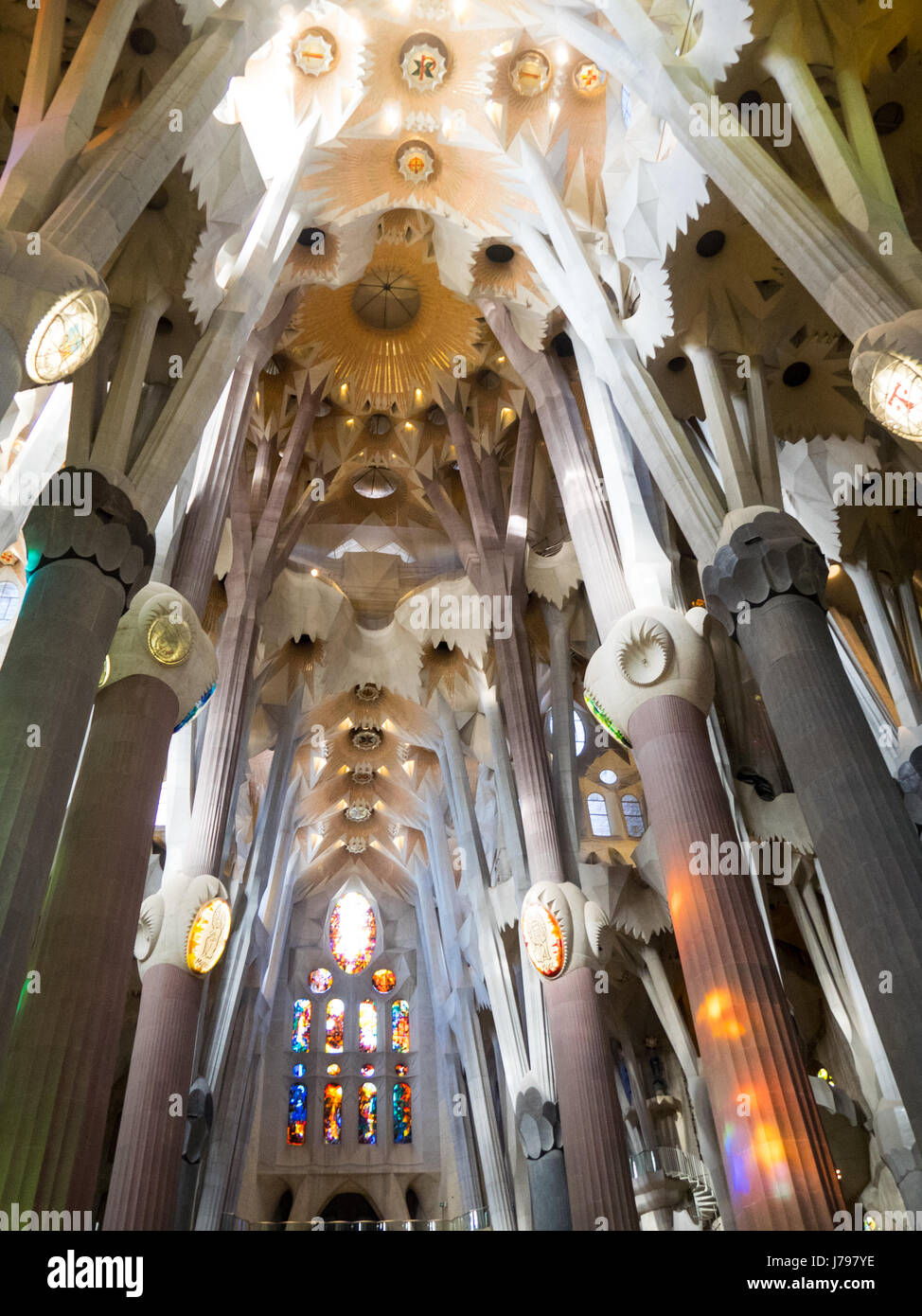 Dekorative gewölbte Decke in Gaudis Sagrada Familia Basilika in Barcelona Spanien. Stockfoto